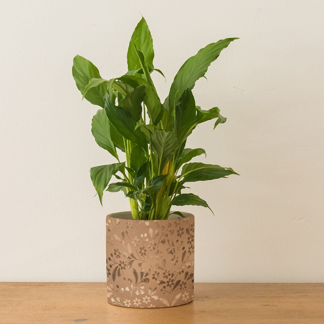 Natural Reflection – Peel and Stick Embossed Wallpaper Panels 17.25" x 10", Metallic Gold Floral