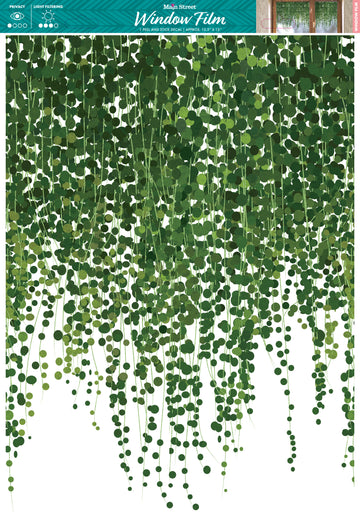 
Vines Static Cling Window Film – 12 Pack