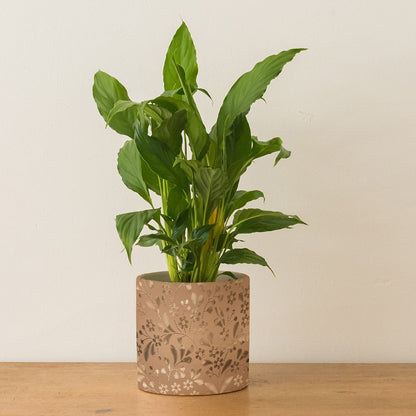 Natural Reflection – Peel and Stick Embossed Wallpaper Panels 17.25" x 10", Metallic Gold Floral