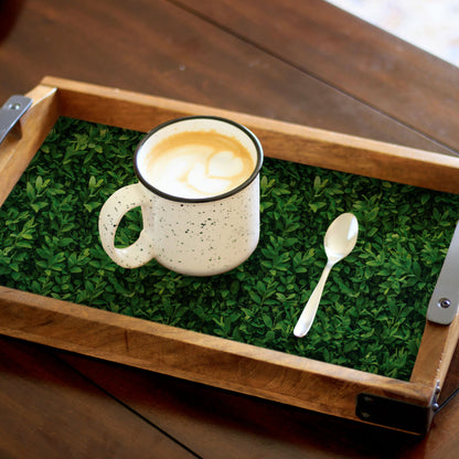 Peel and Stick Wallpaper Sheets – Plant Wall Design