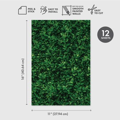 Peel and Stick Wallpaper Sheets – Plant Wall Design